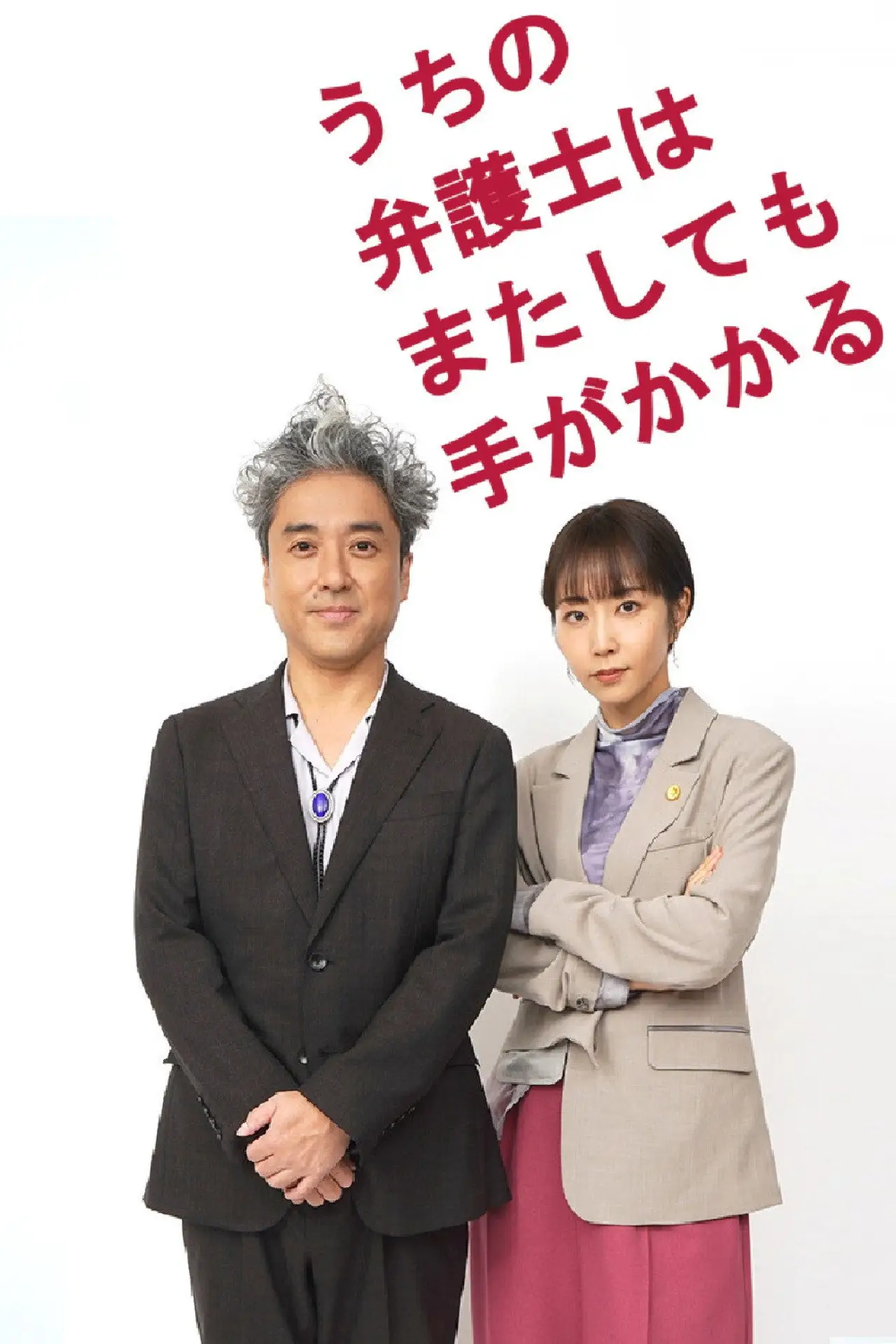 Series poster "うちの弁護士はまたしても手がかかる"