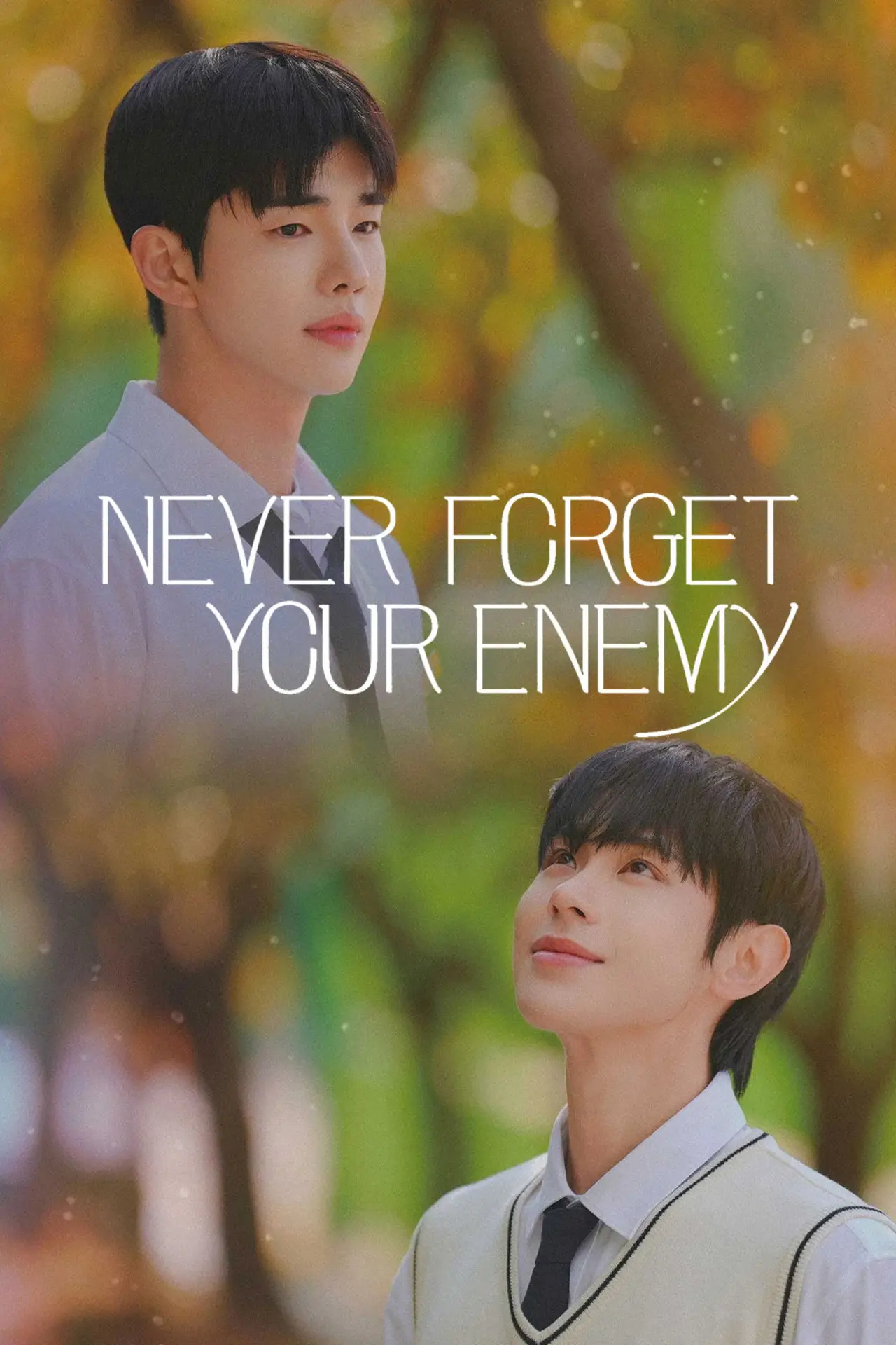 Series poster "Never Forget Your Enemy"