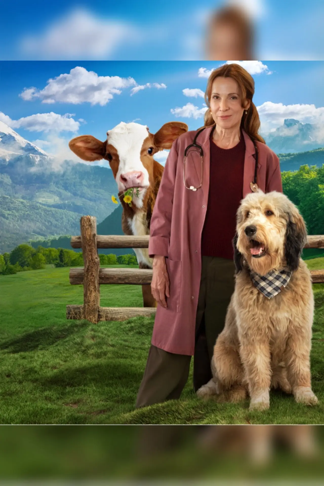Series poster "Die Maiwald"