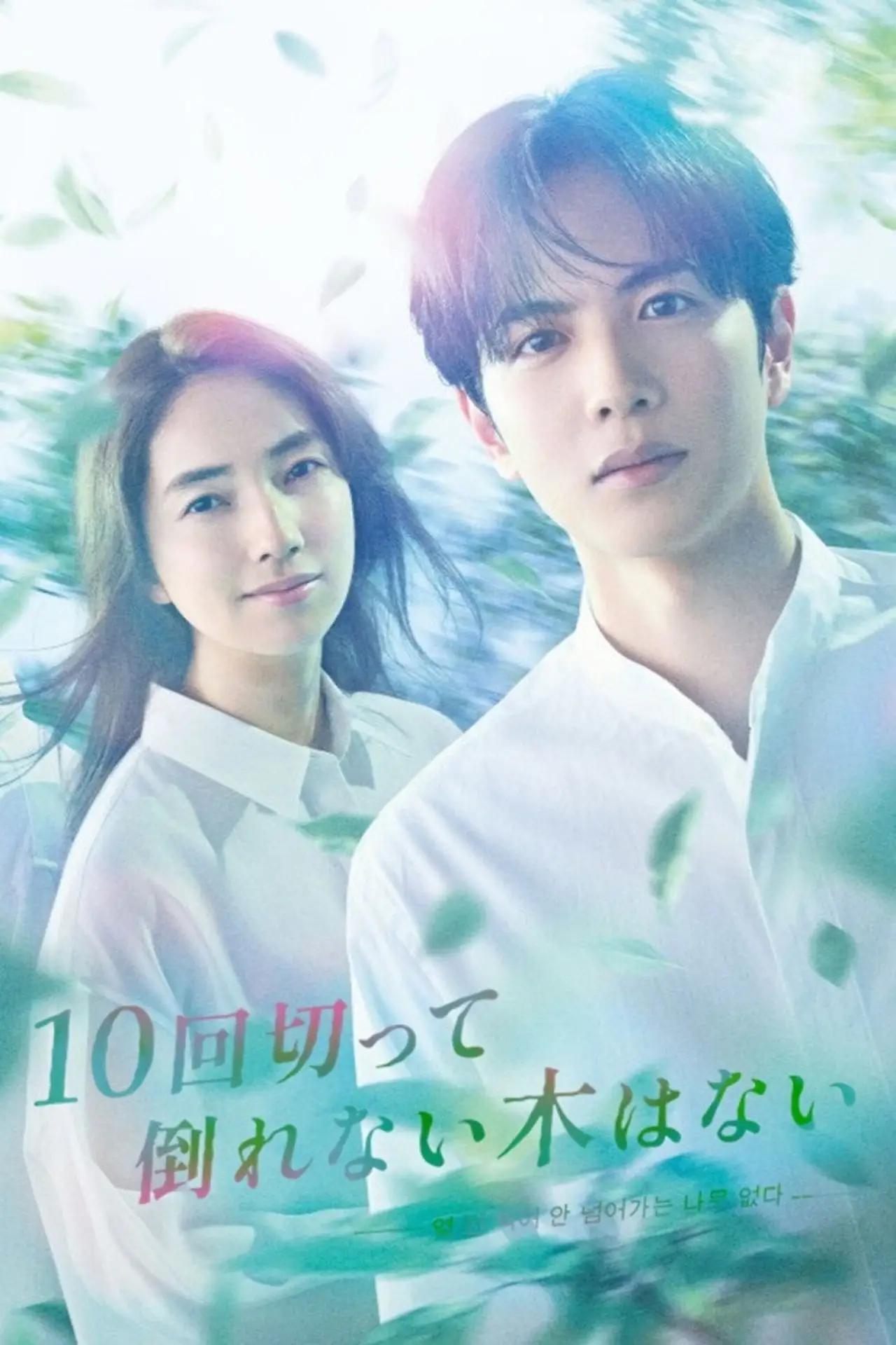 Series poster "Ten Strokes to You"