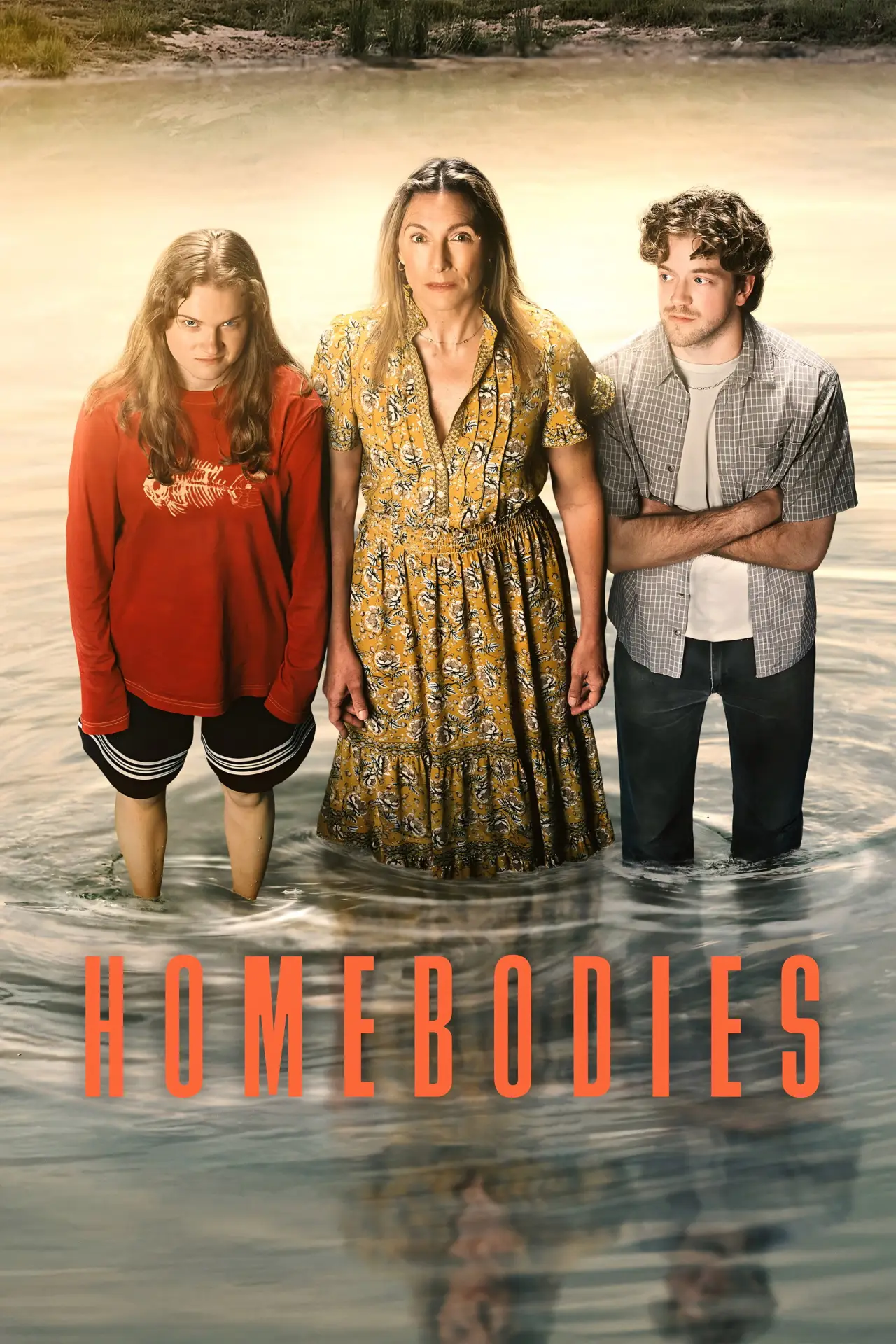 Series poster "Homebodies"