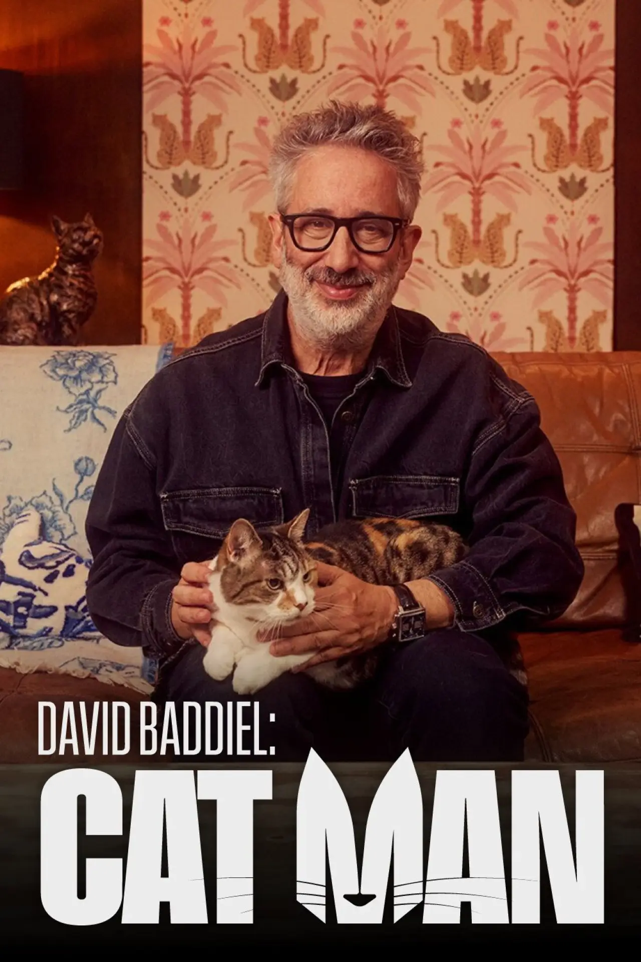 Series poster "David Baddiel: Cat Man"