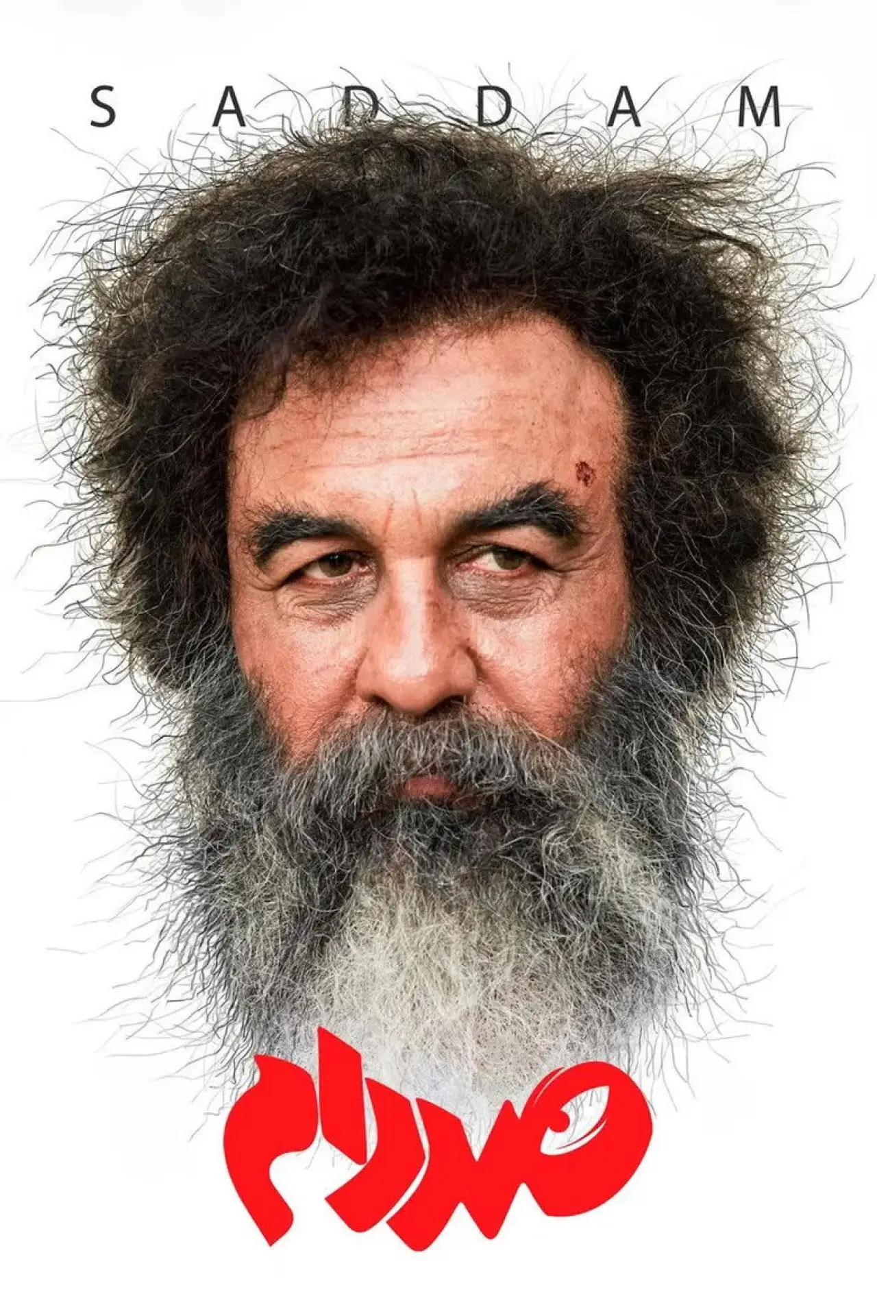 Series poster "Saddam"