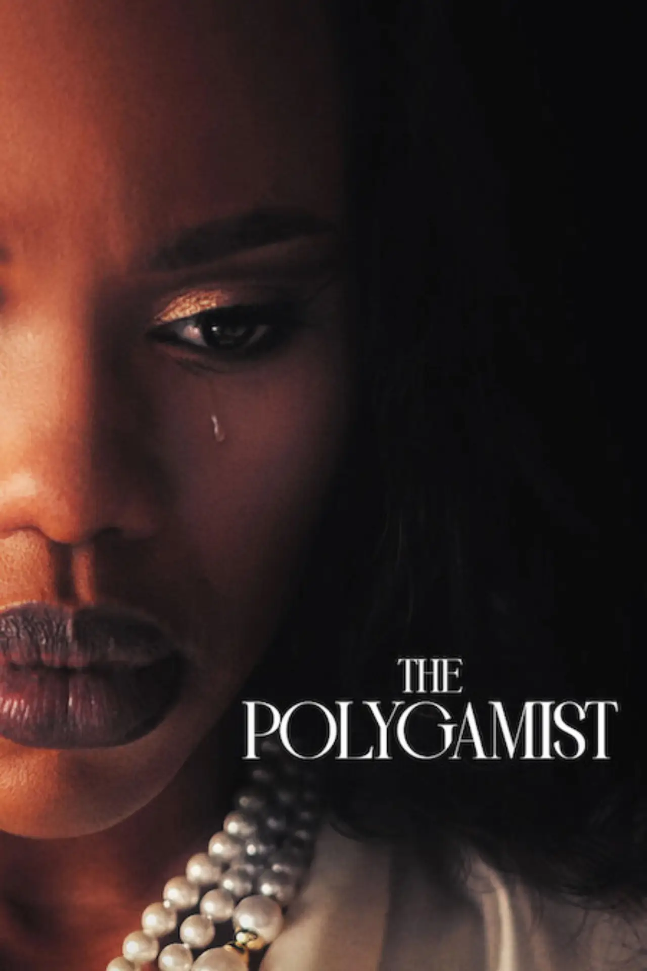 Постер к сериалу "The Polygamist"