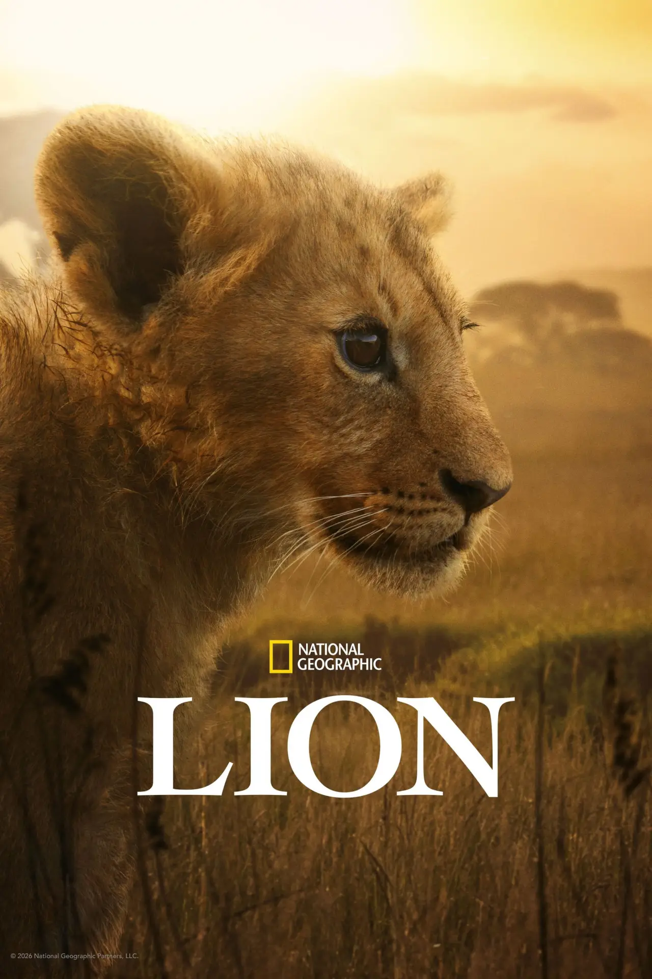 Series poster "Lion"