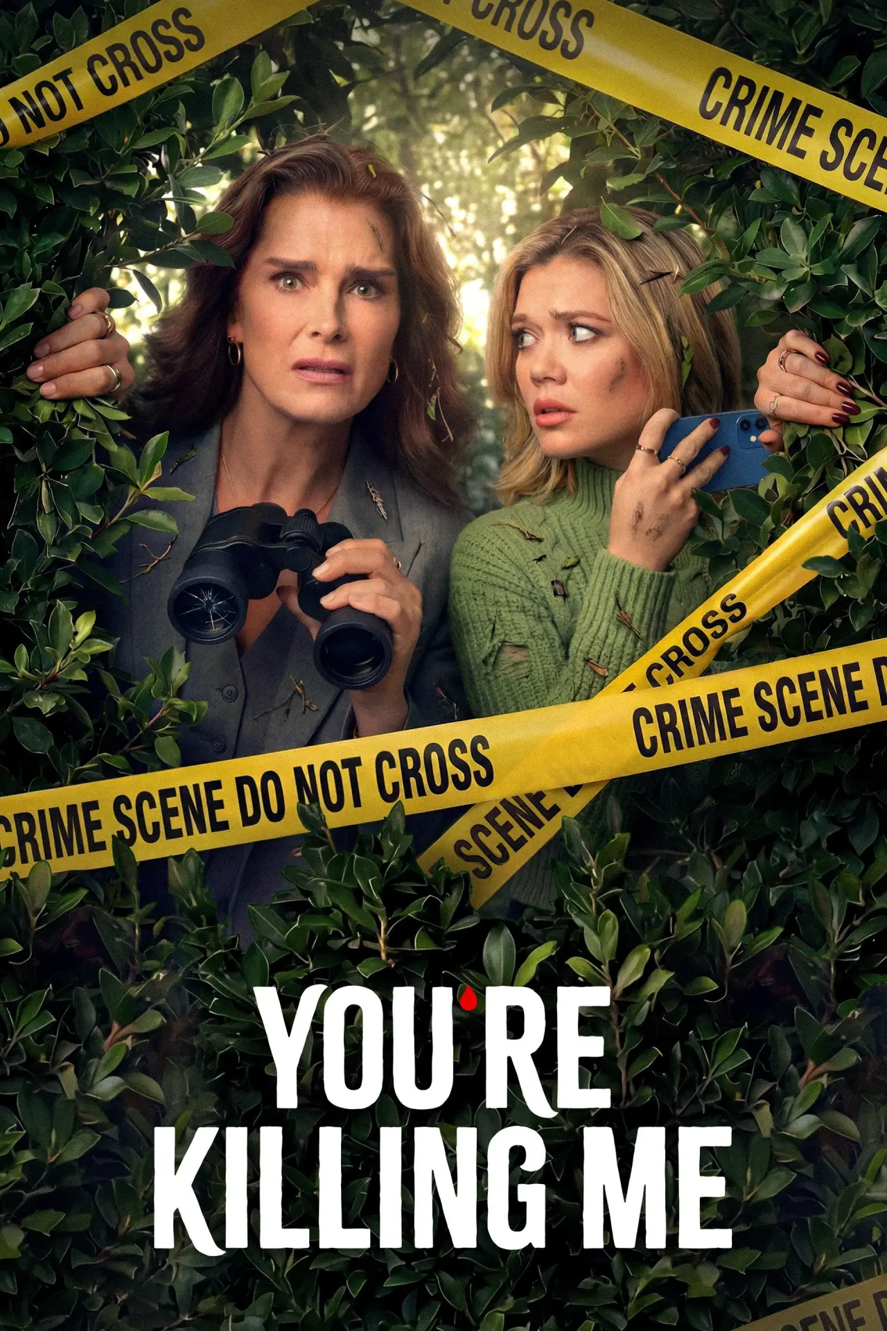 Постер к сериалу "You