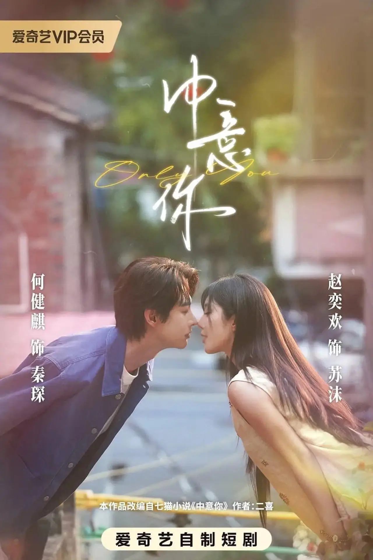 Series poster "中意你"