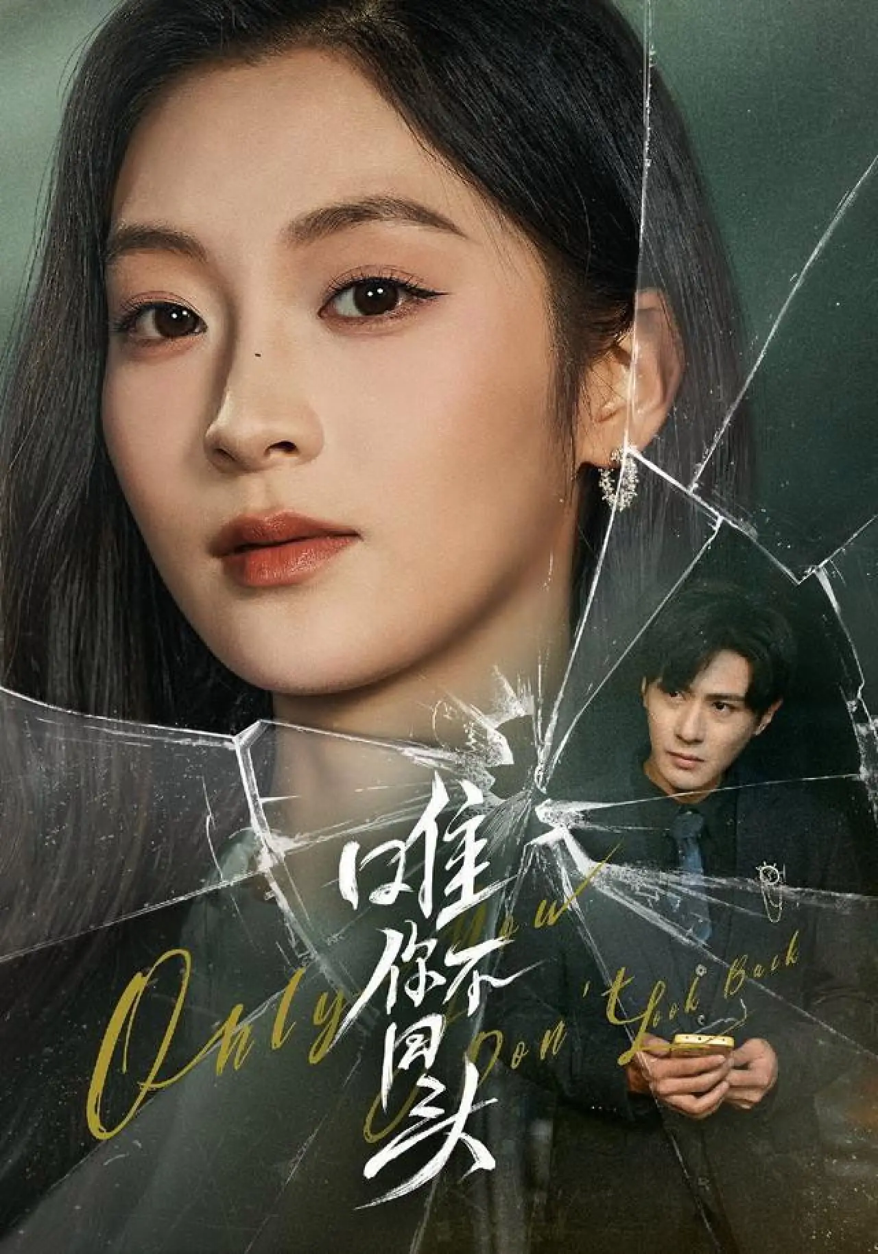 Series poster "唯你不回头"