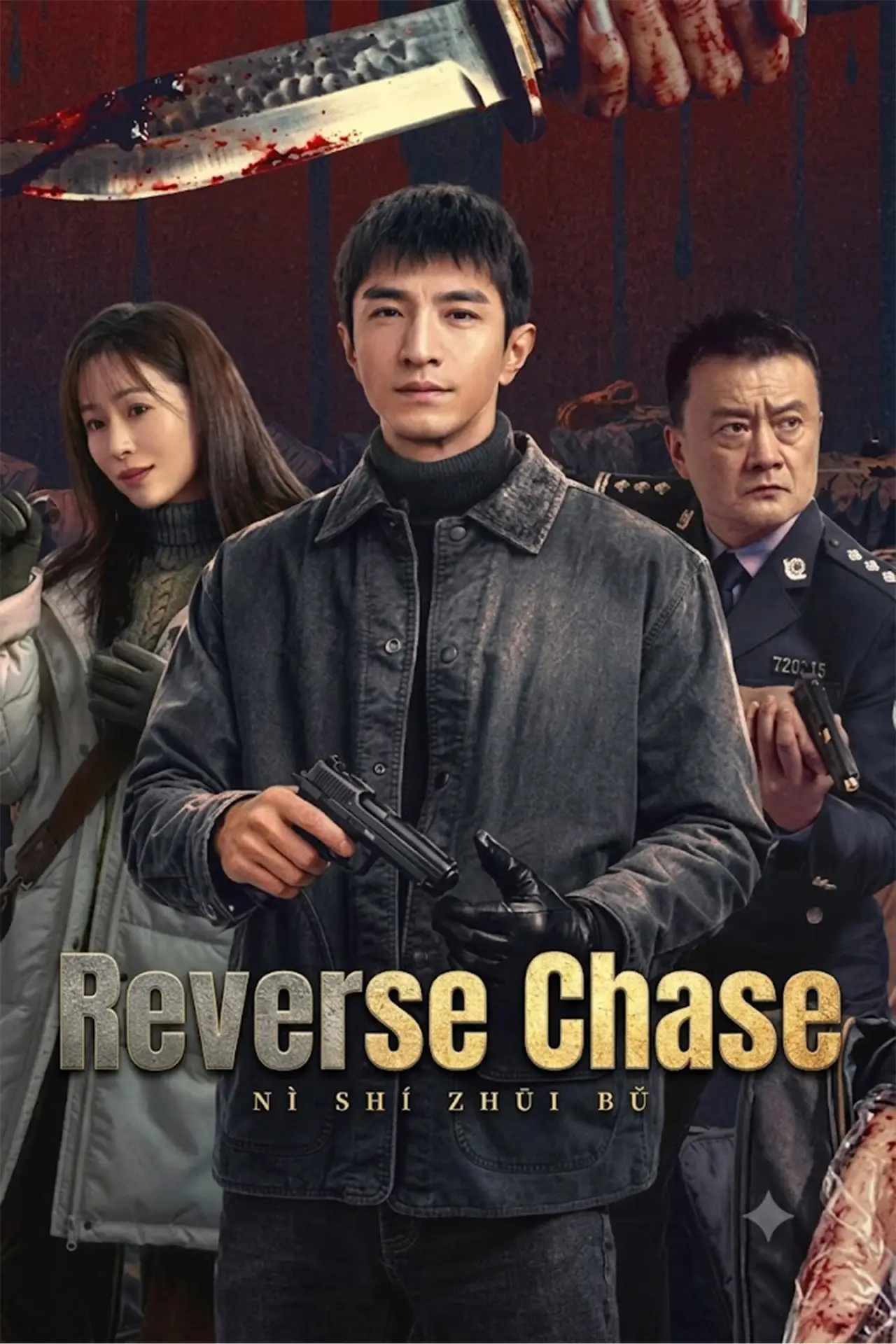 Series poster "Reverse Chase"