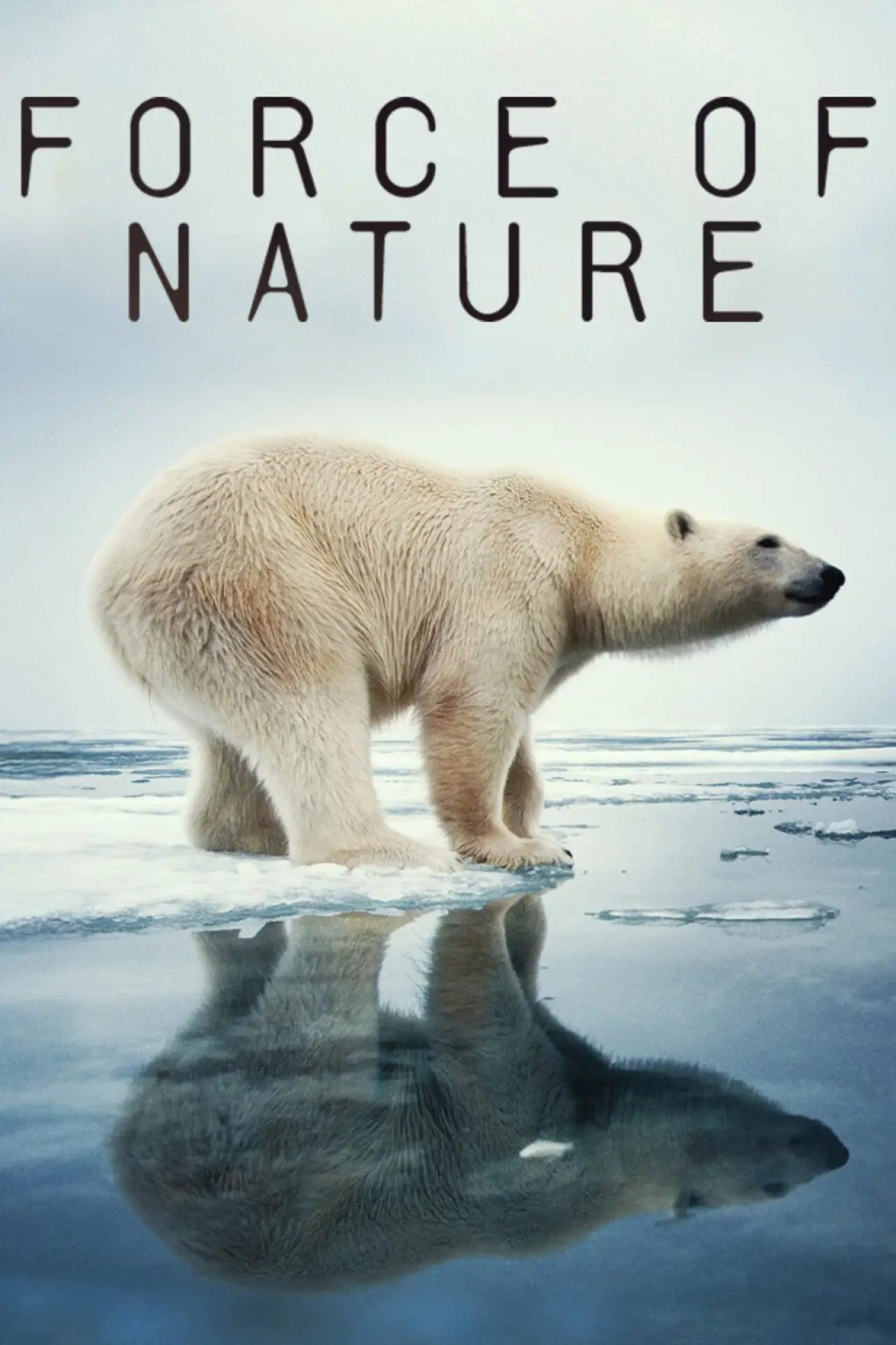 Series poster "Force of Nature"