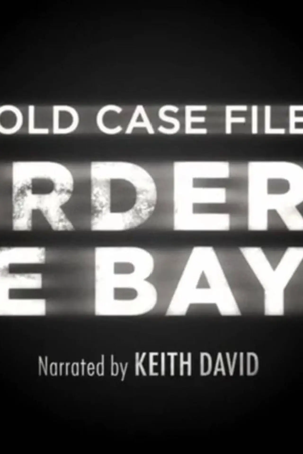 Series poster "Cold Case Files: Murder in the Bayou"