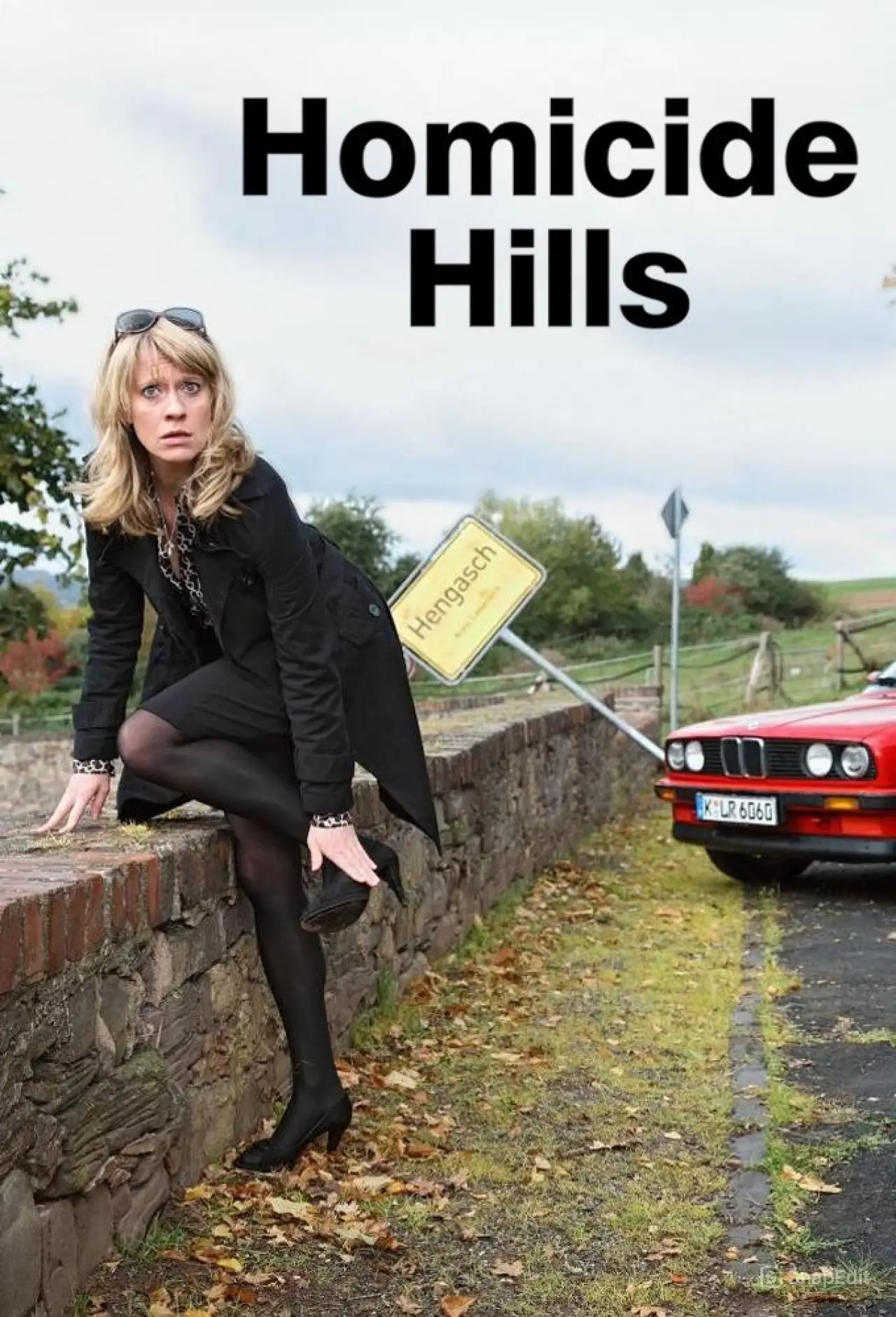 Series poster "Homicide Hills"