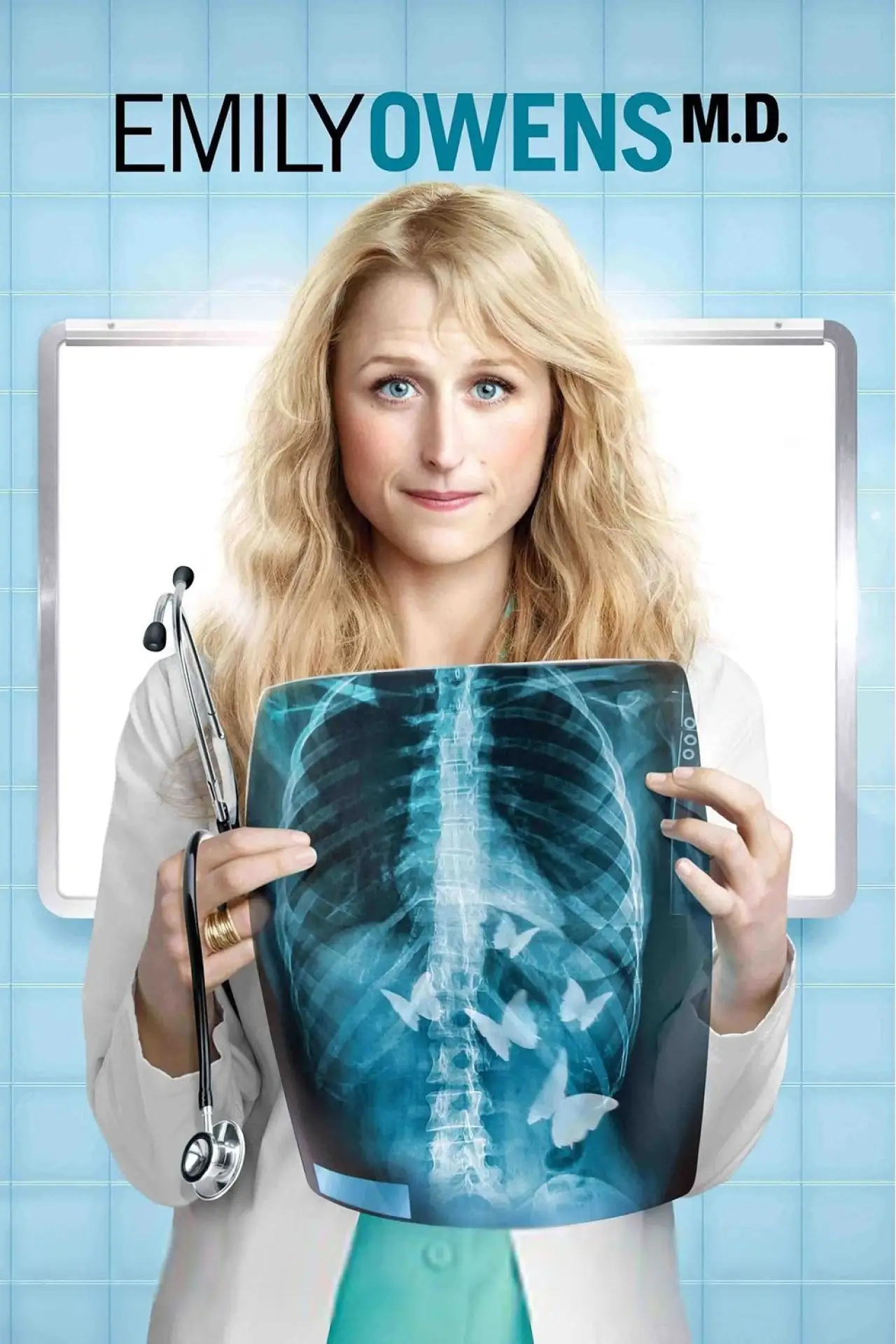 Series poster "Emily Owens, M.D."