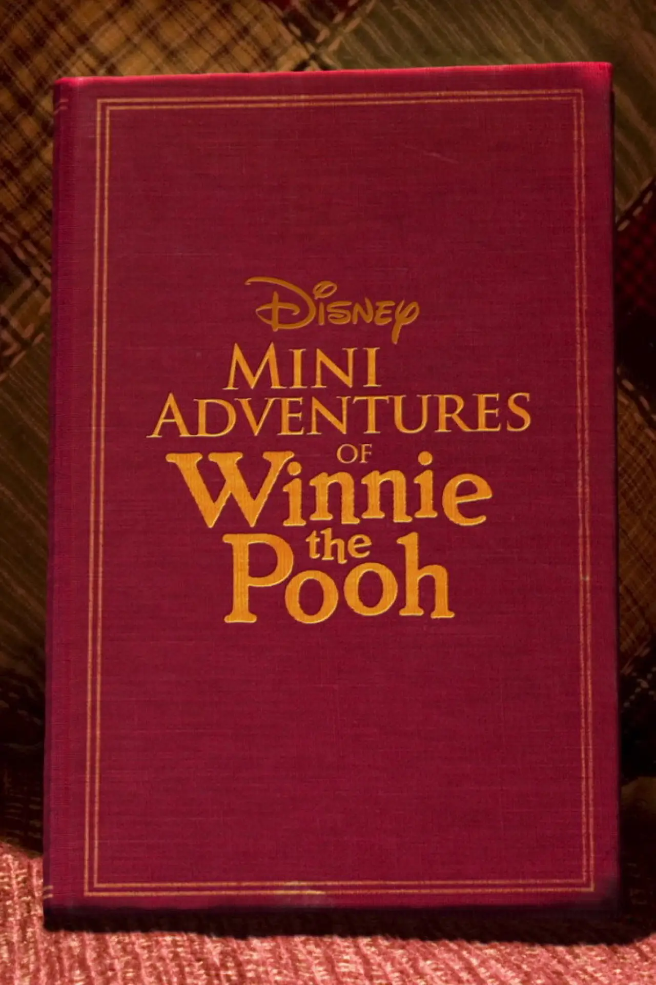 Series poster "Mini Adventures of Winnie the Pooh"