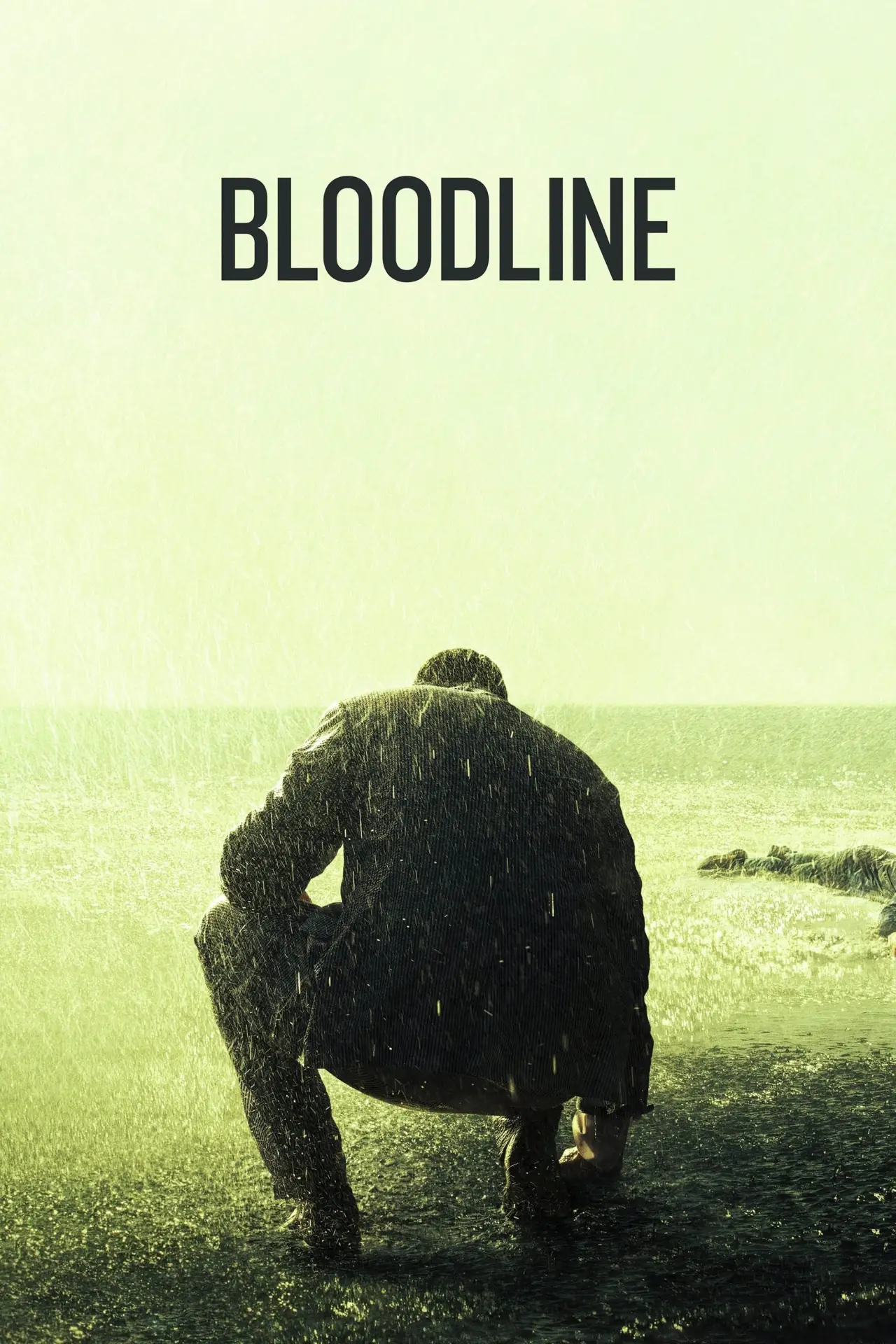 Series poster "Bloodline"