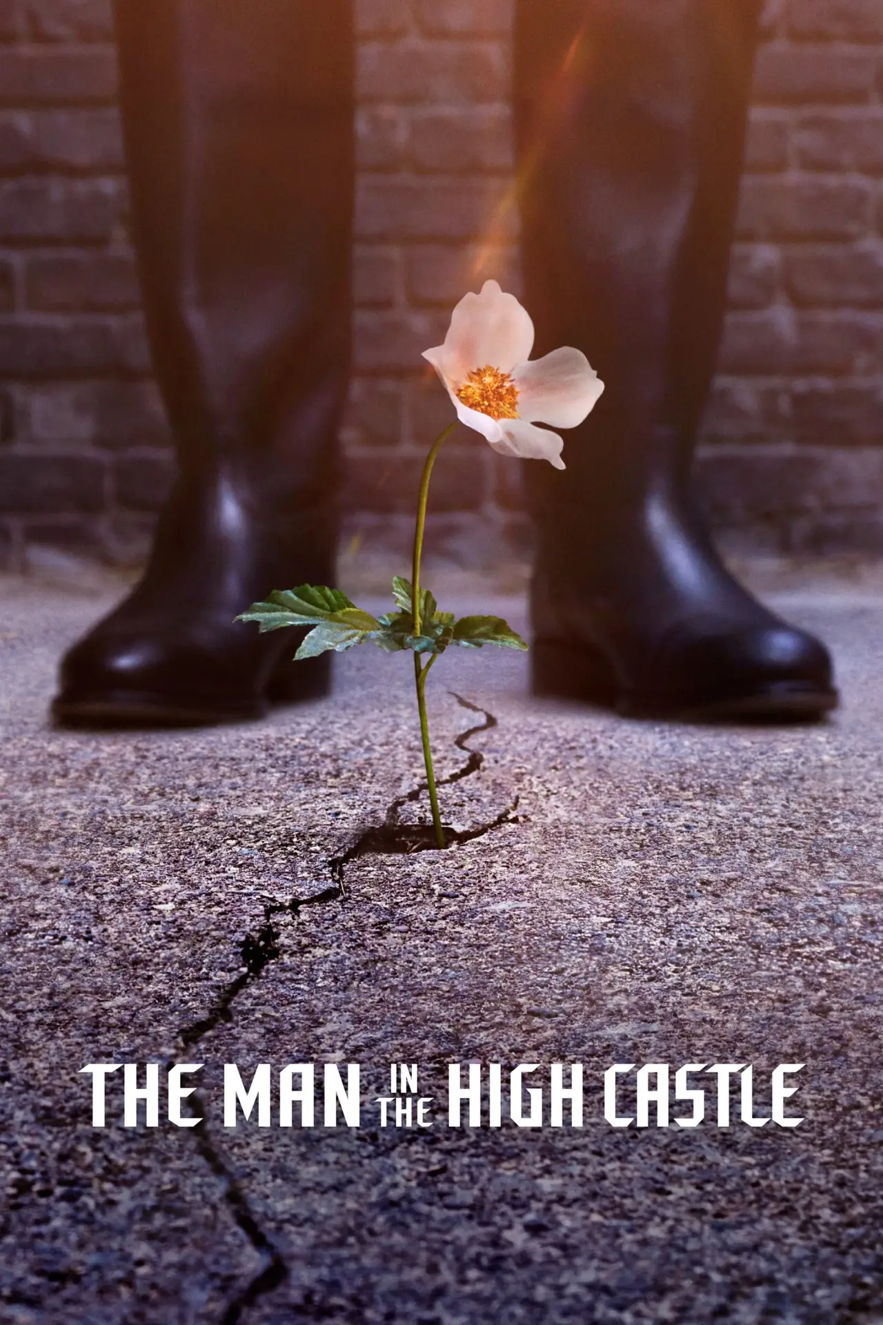 Series poster "The Man in the High Castle"