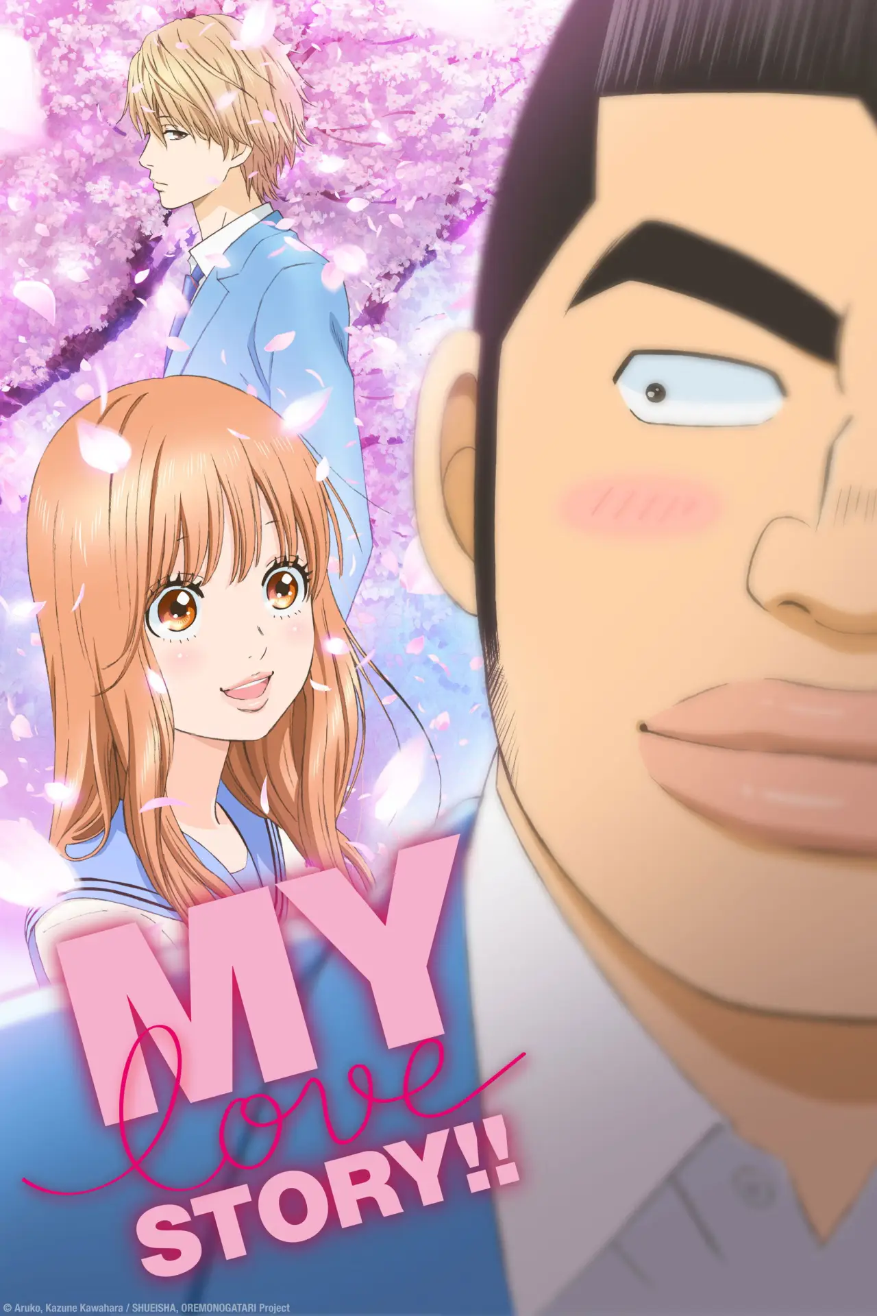 Series poster "My Love Story!!"