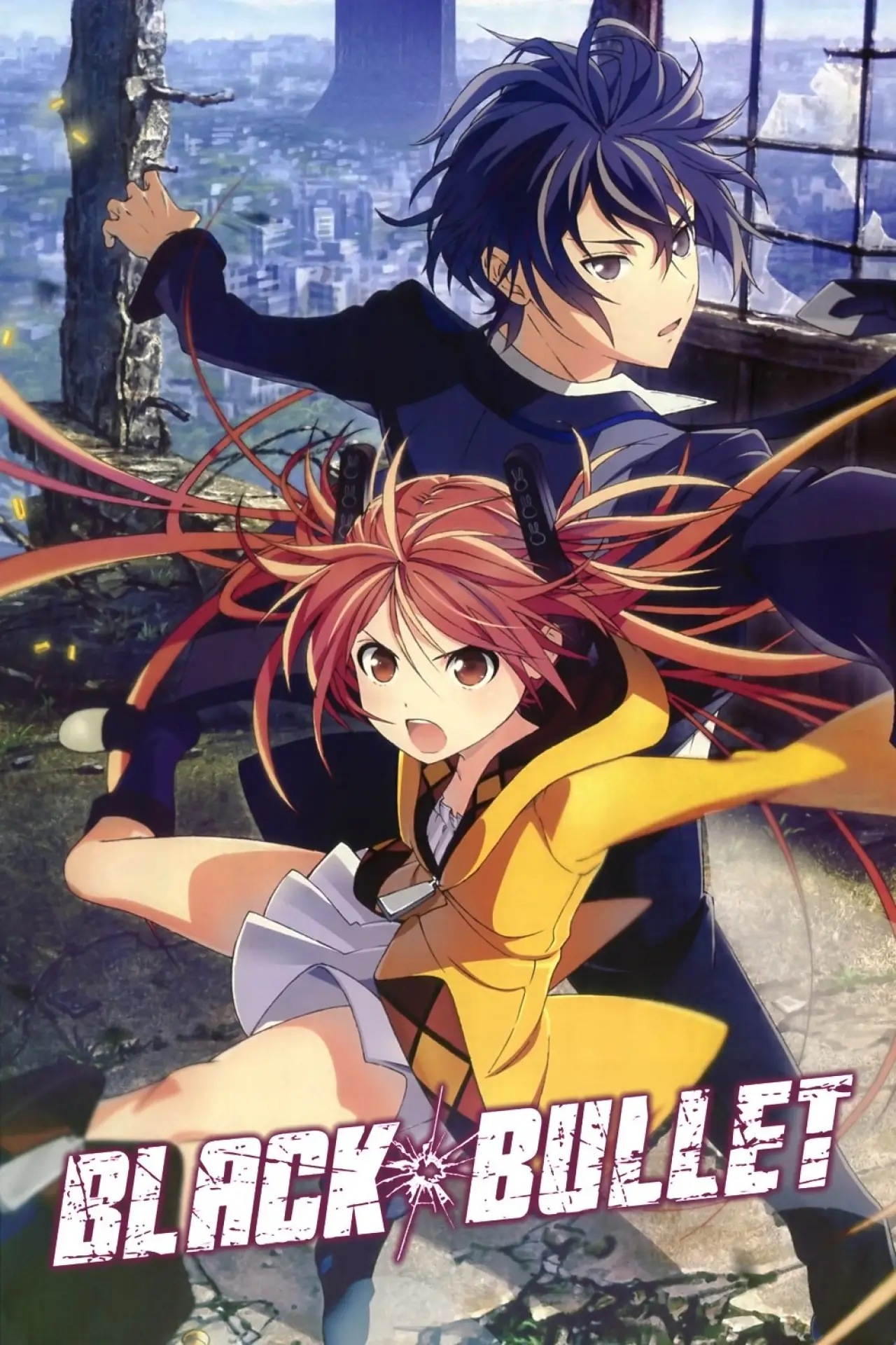 Series poster "Black Bullet"