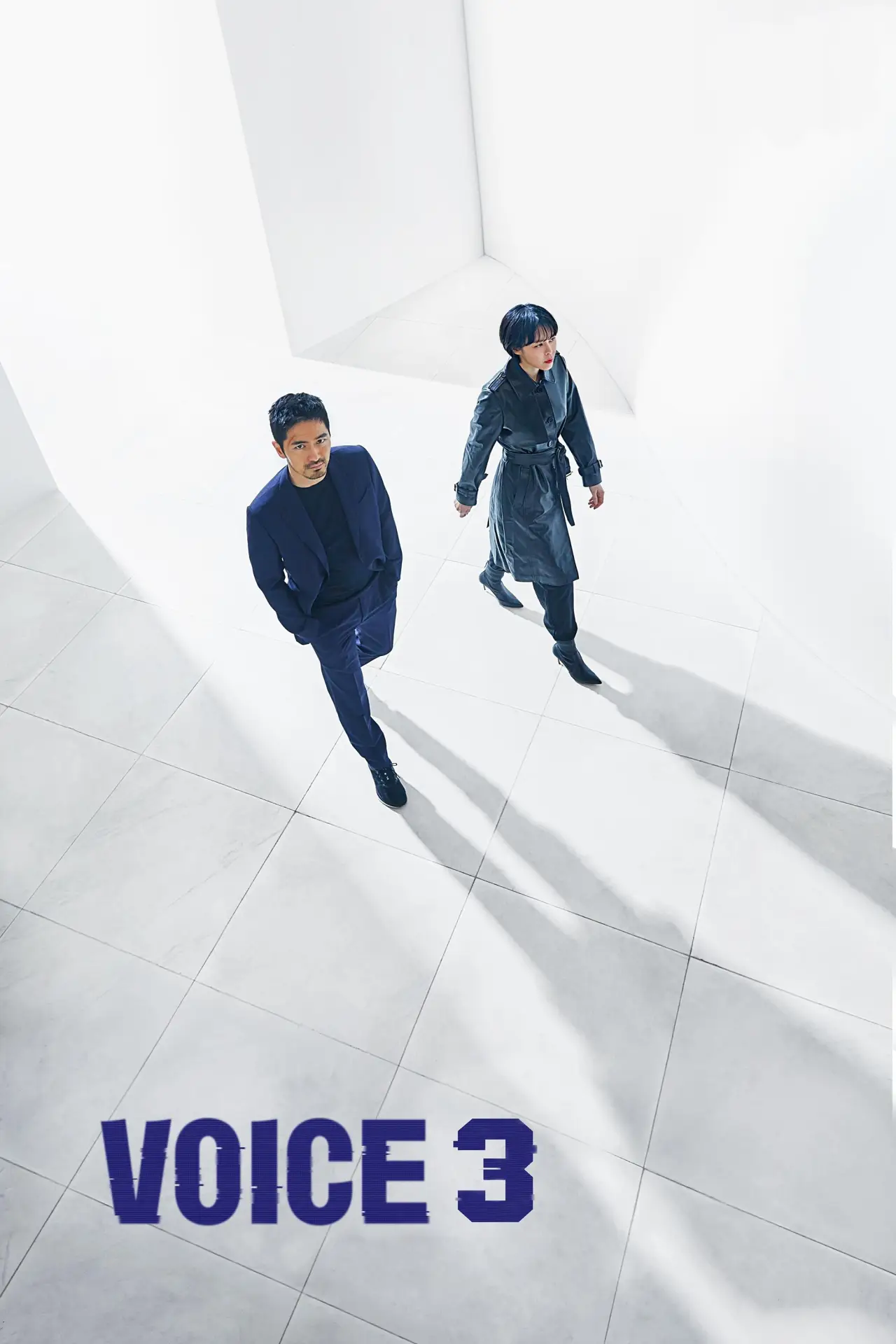 Series poster "Voice"