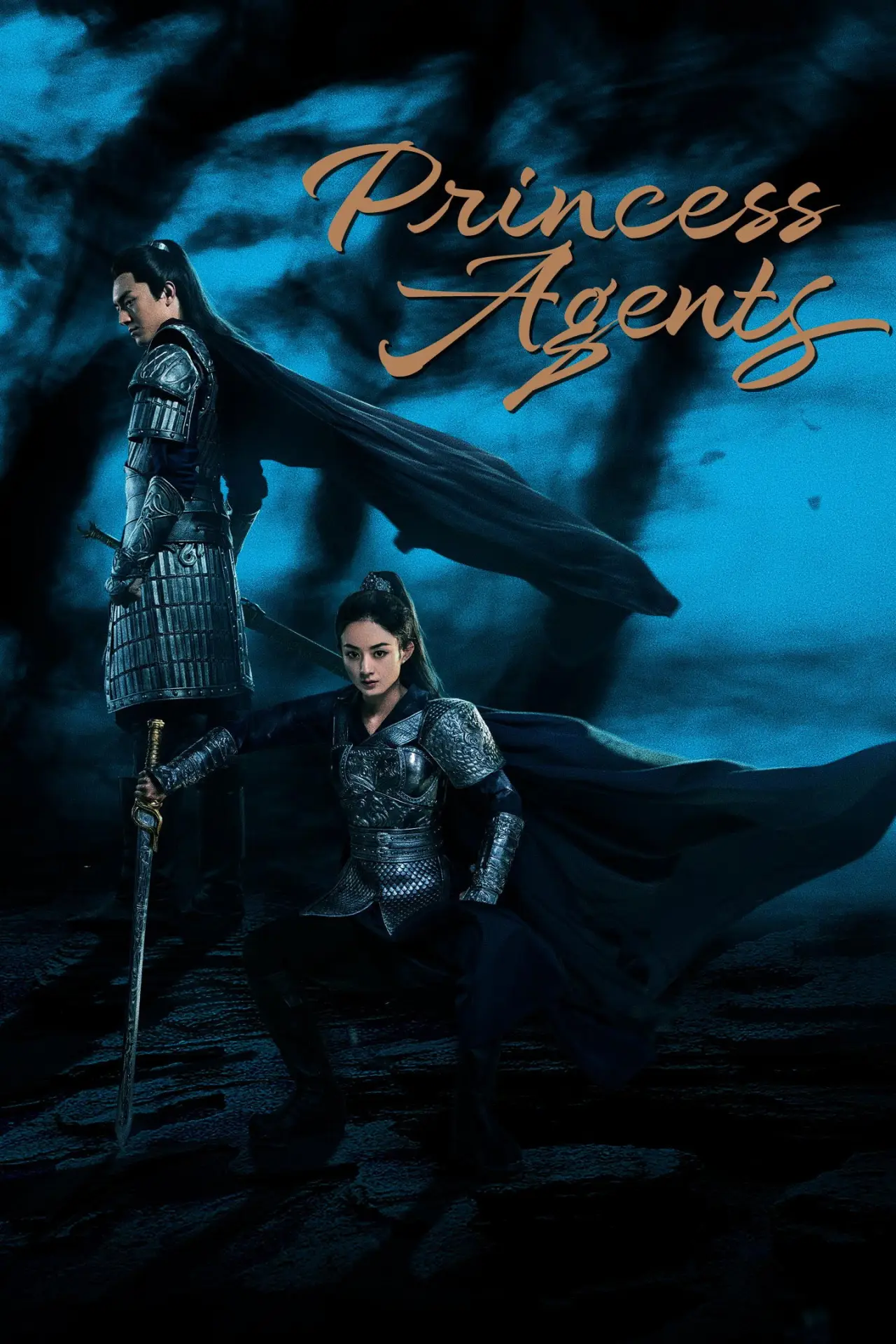 Series poster "Princess Agents"