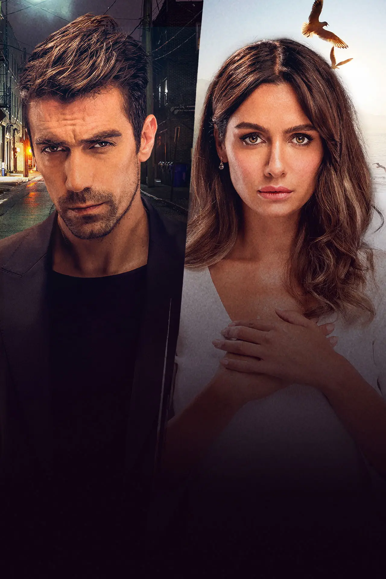 Series poster "Price Of Passion"