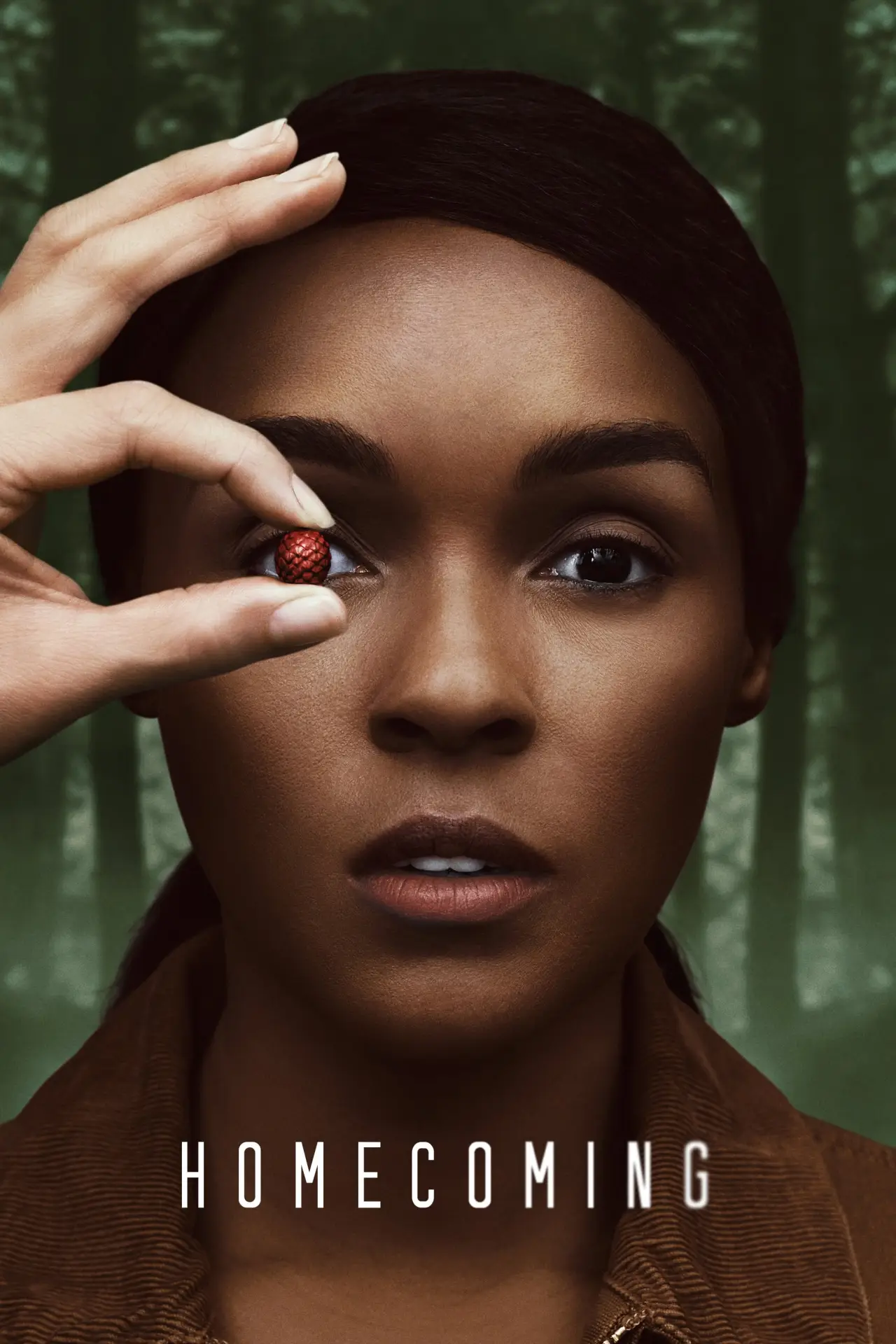 Series poster "Homecoming"