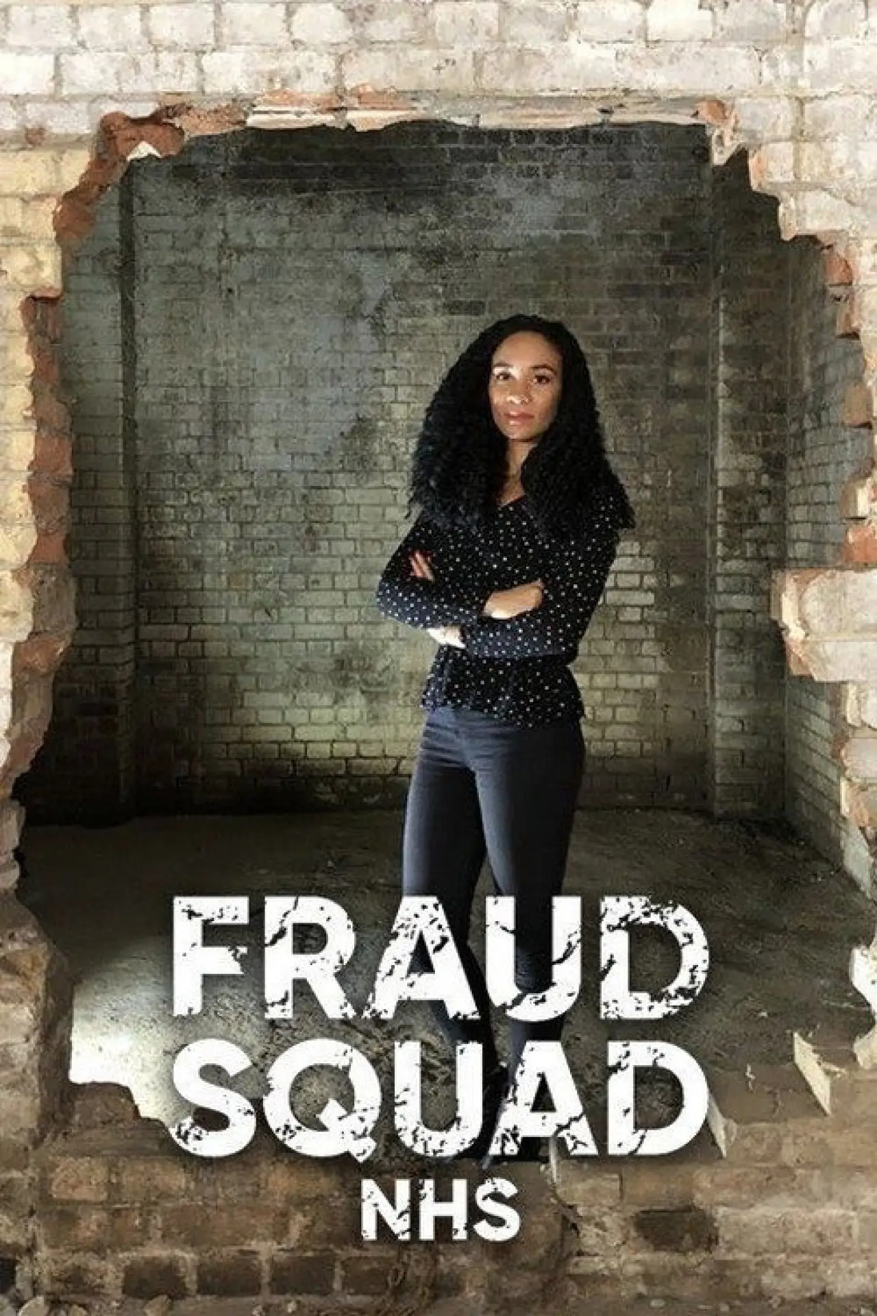 Series poster "Fraud Squad"