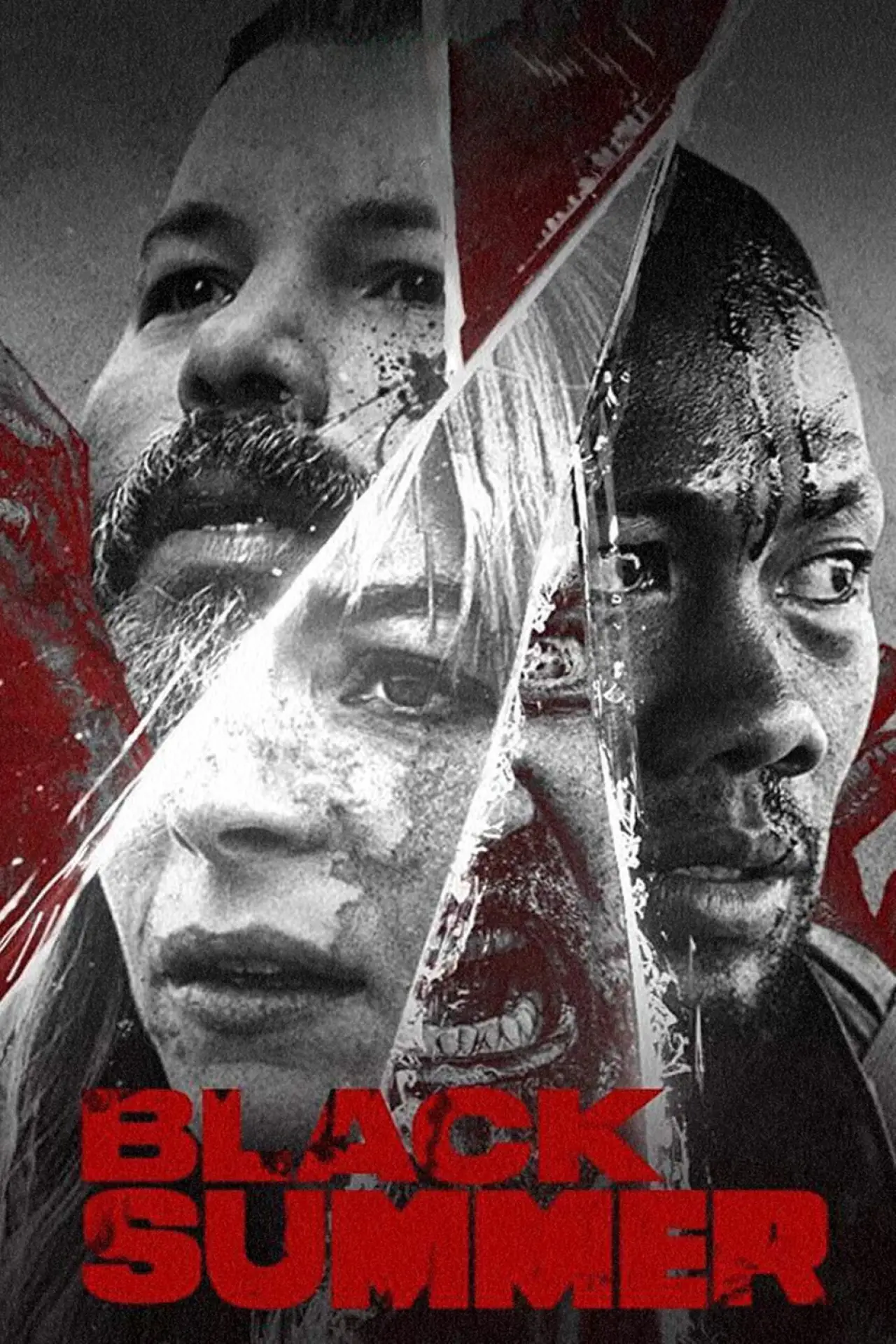 Series poster "Black Summer"