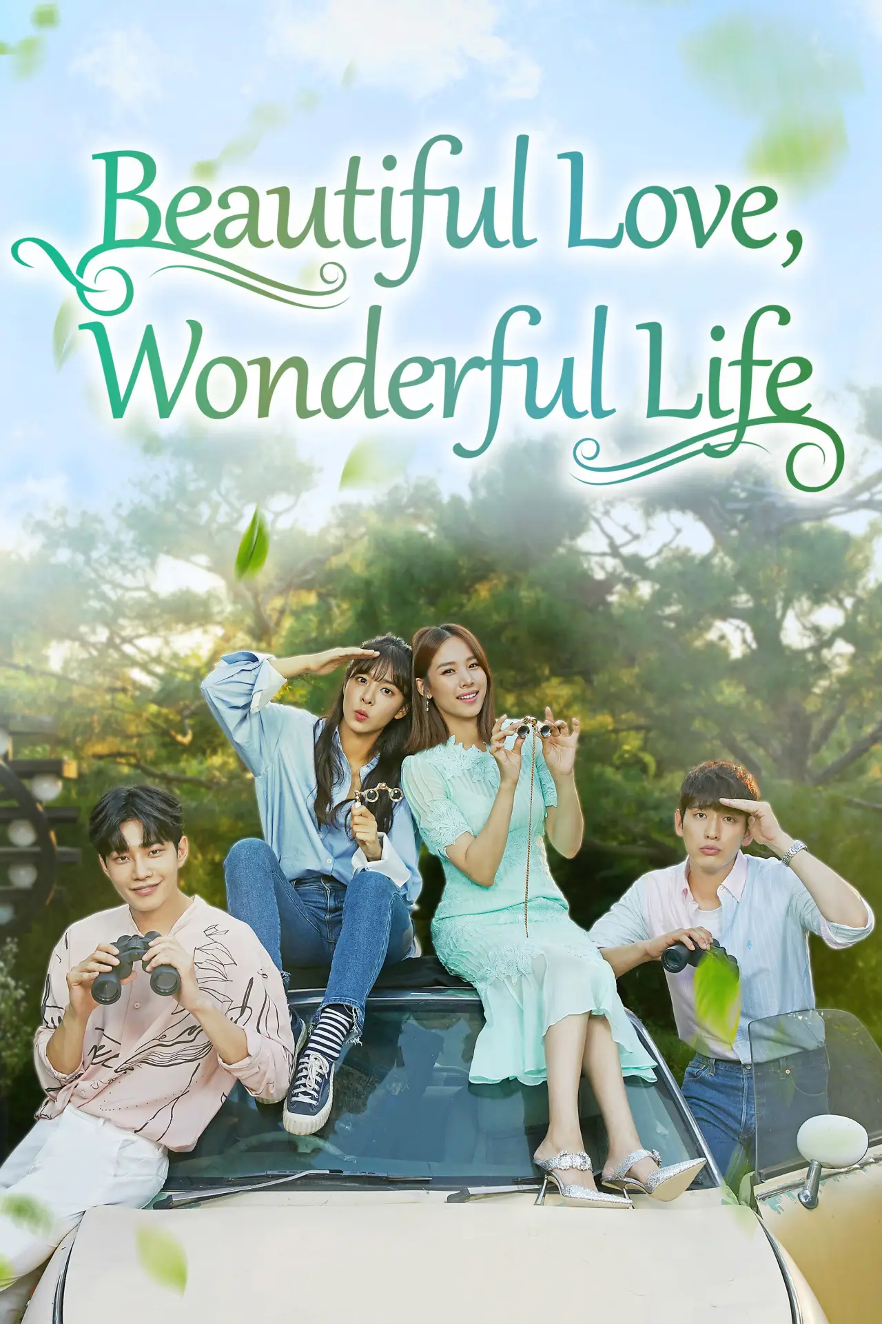 Series poster "Beautiful Love, Wonderful Life"