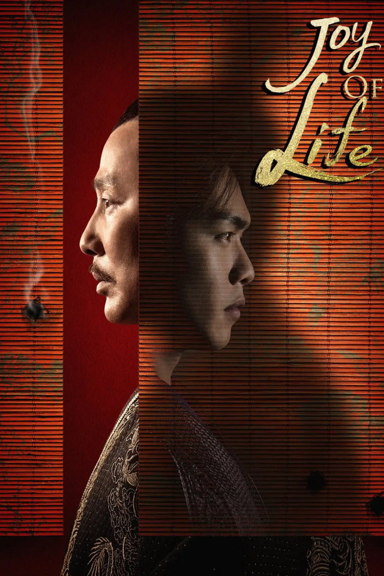 Постер к сериалу "Joy of Life"