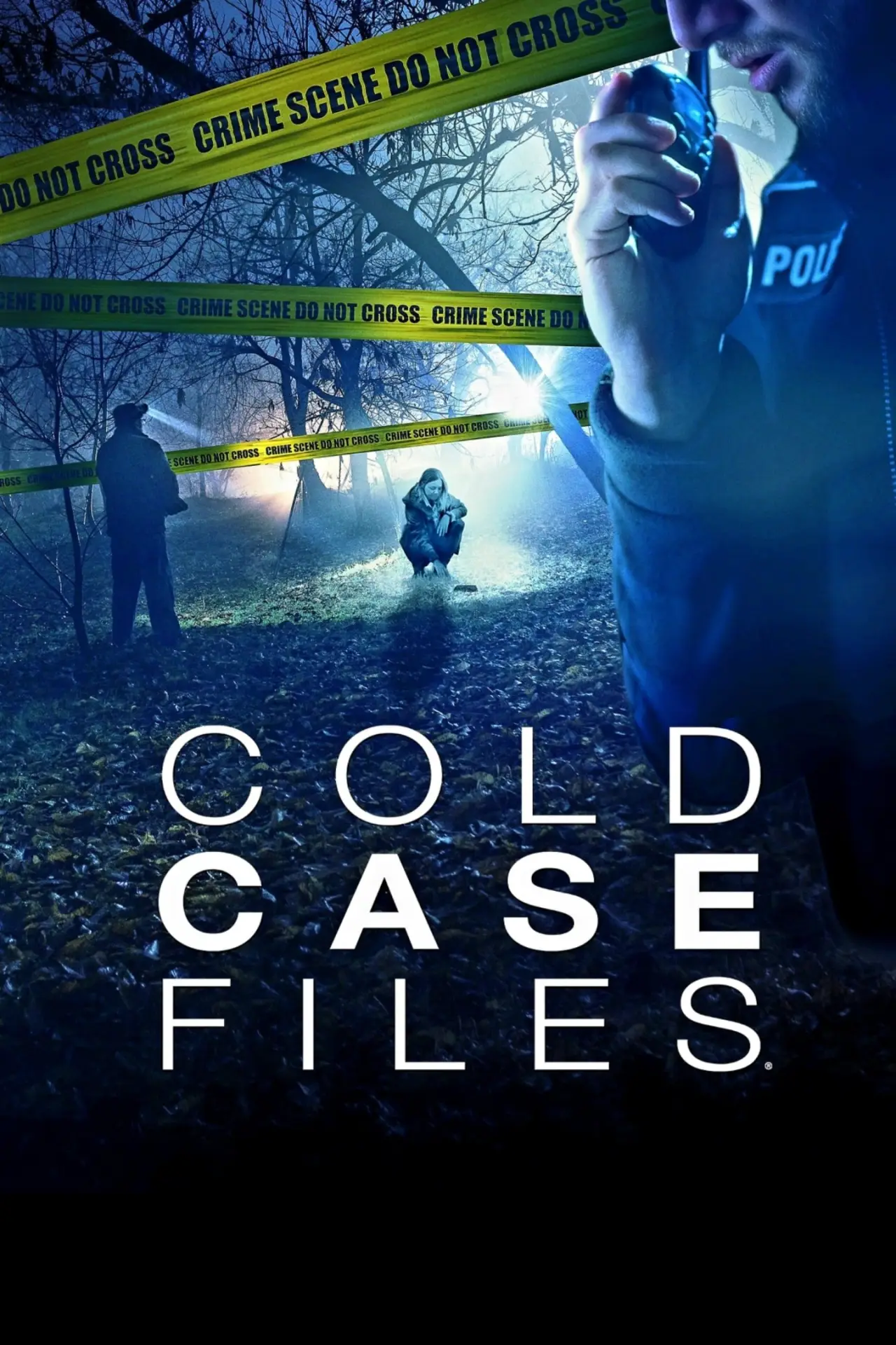 Series poster "Cold Case Files"