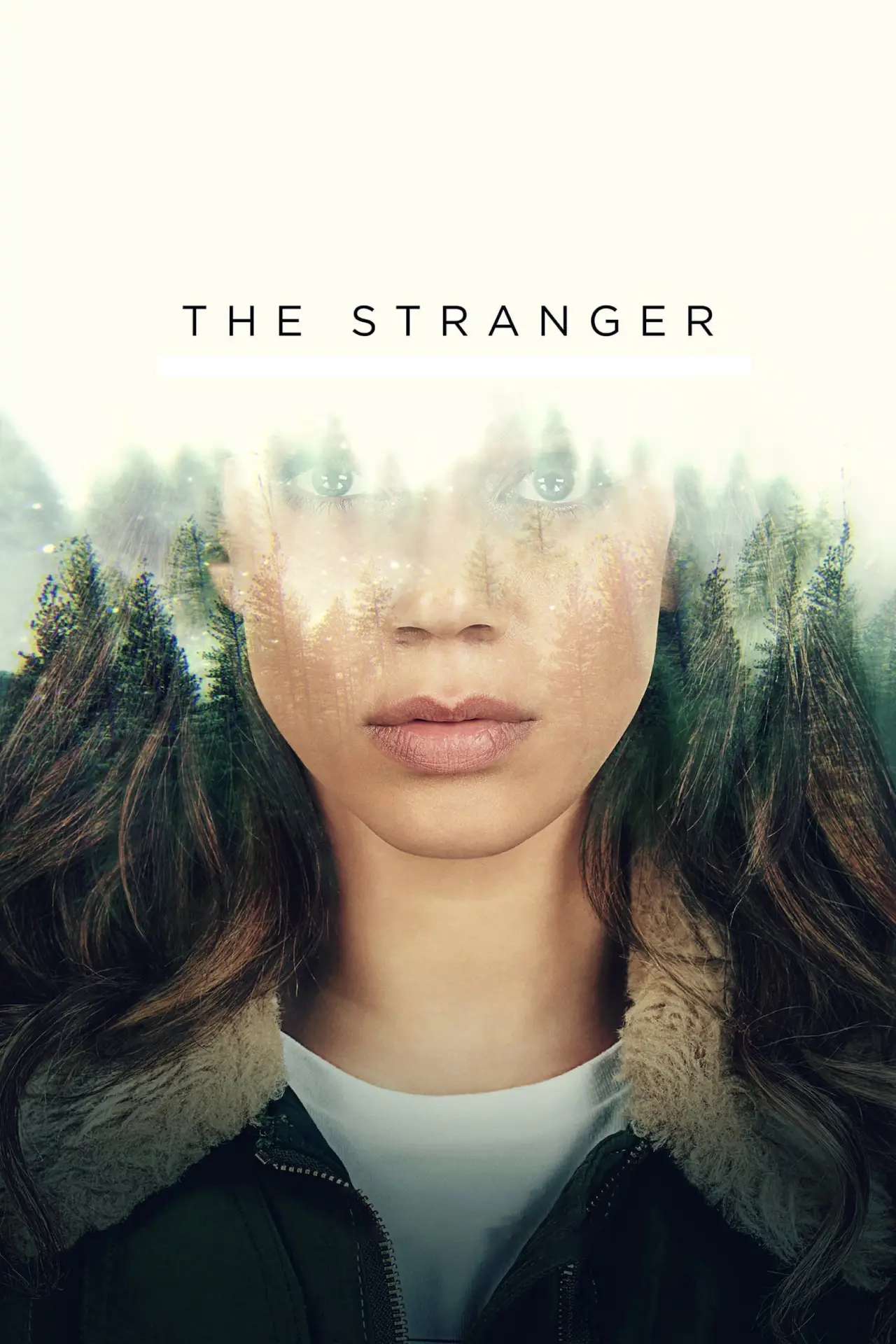 Series poster "The Stranger"