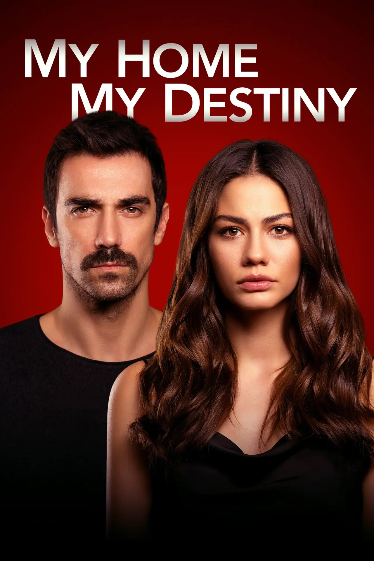 Series poster "My Home My Destiny"