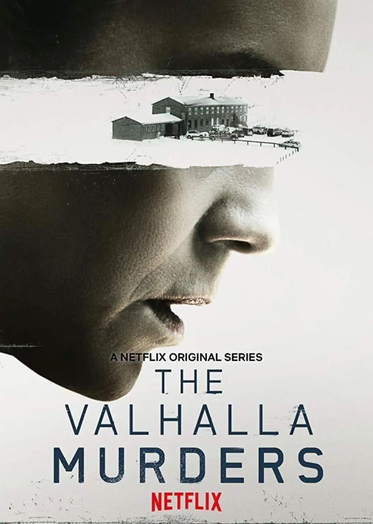 Series poster "The Valhalla Murders"