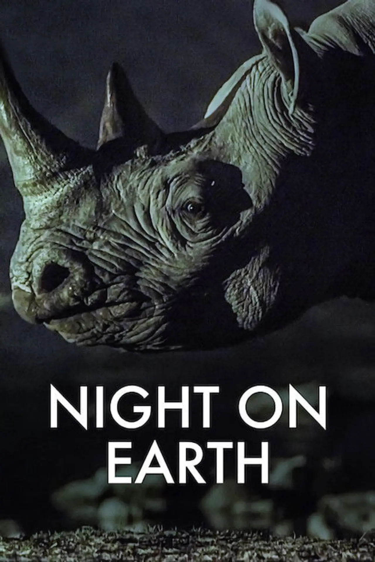 Series poster "Night on Earth"