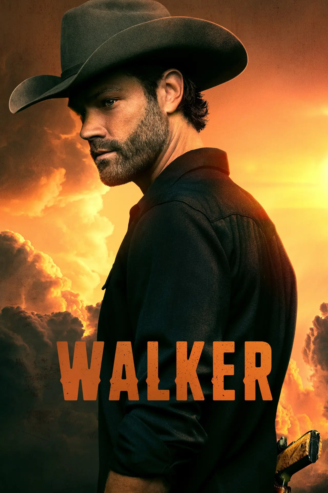 Series poster "Walker"