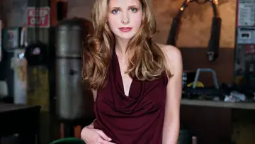 Backdrop for the TV series "Buffy the Vampire Slayer" #1275346