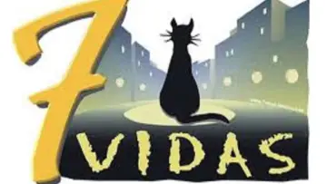 Backdrop for the TV series "7 vidas" #1388991