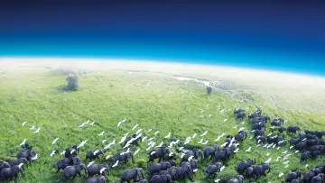 Backdrop к сериалу "Planet Earth" #1366820