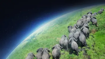 Backdrop к сериалу "Planet Earth" #1366821