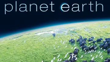 Backdrop к сериалу "Planet Earth" #1366824
