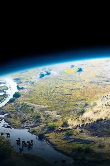 Poster к сериалу "Planet Earth" #1366844