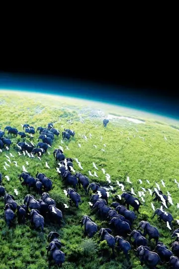Poster к сериалу "Planet Earth" #1366849