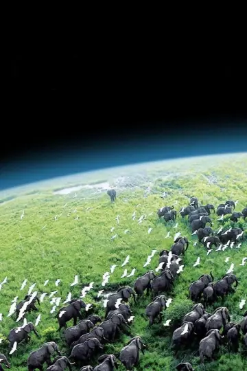 Poster к сериалу "Planet Earth" #1366855