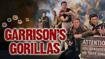 Backdrop for the TV series "Garrison