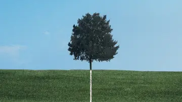 Backdrop for the TV series "Six Feet Under" #1299231