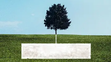 Backdrop for the TV series "Six Feet Under" #1299248