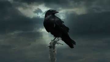 Backdrop к сериалу "Game of Thrones" #1212682