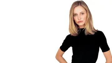 Backdrop for the TV series "Ally McBeal" #1393524