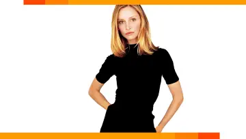 Backdrop for the TV series "Ally McBeal" #1393530